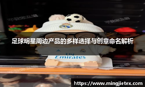 足球明星周边产品的多样选择与创意命名解析